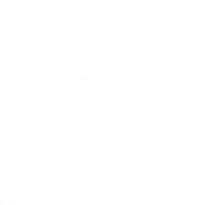 lion-blanc